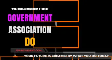 University Student Governments: Power and Purpose