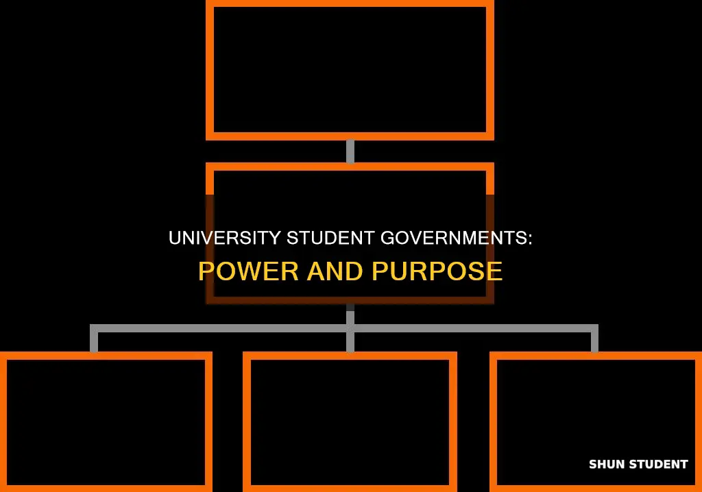 what does a university student government association do