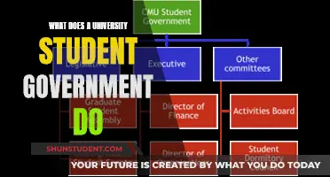 Unveiling the Role of Student Government: Power and Purpose