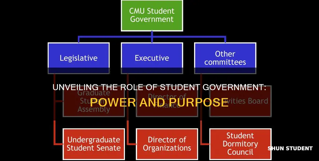 what does a university student government do