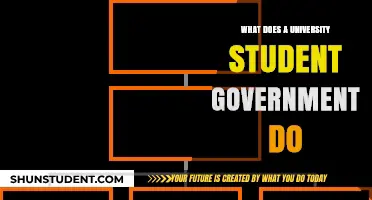 University Student Governments: Power, Representation, and Action