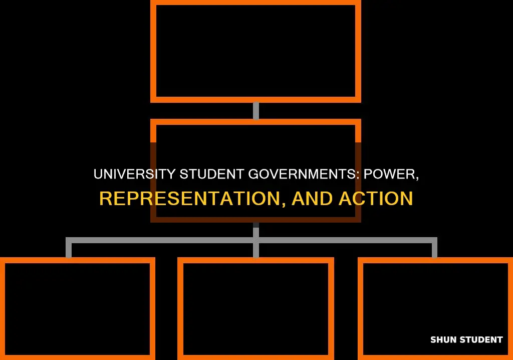 what does a university student government do