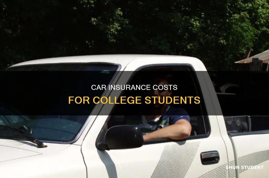 what does an average college student pay for car insurance