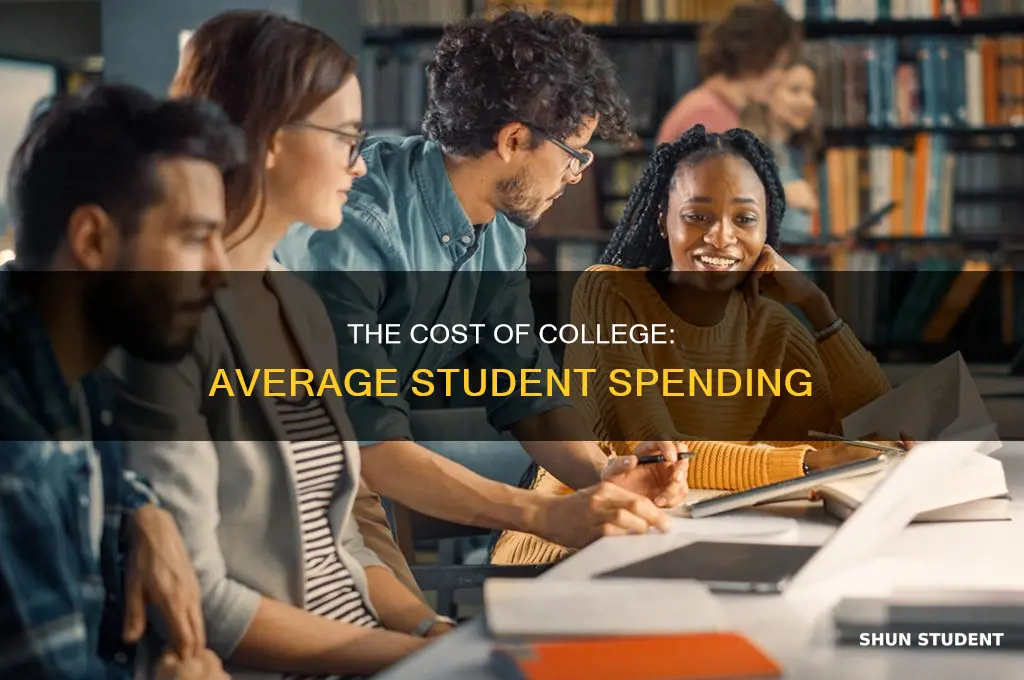 what does an average college student pay
