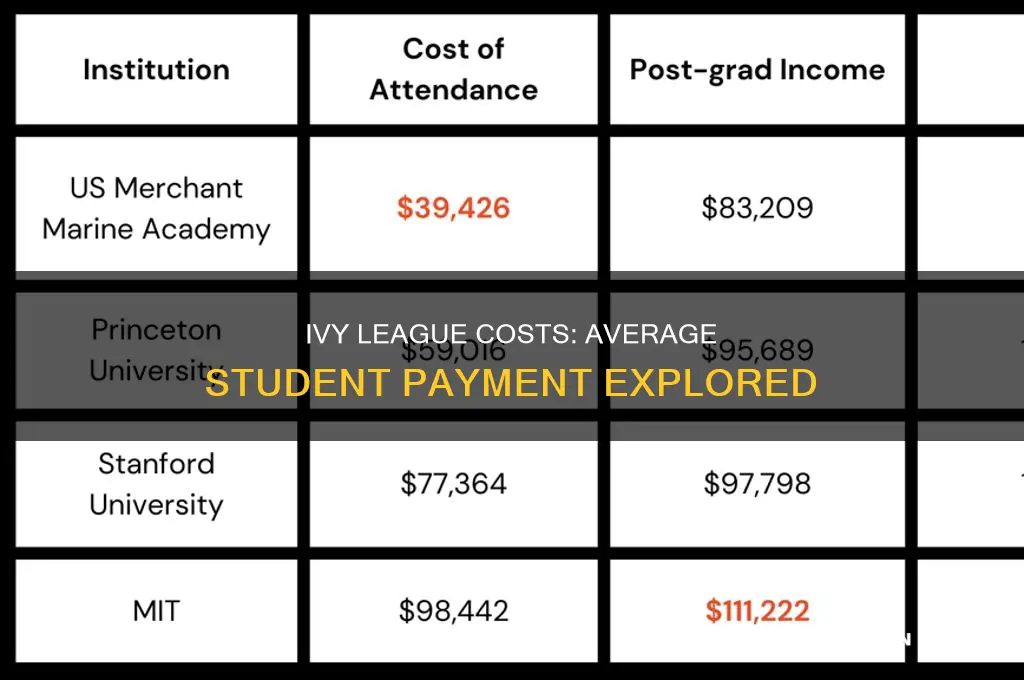 what does an average student pay in an ivy league