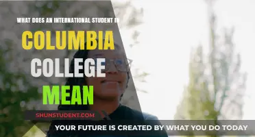 Columbia College: A Global Student Experience