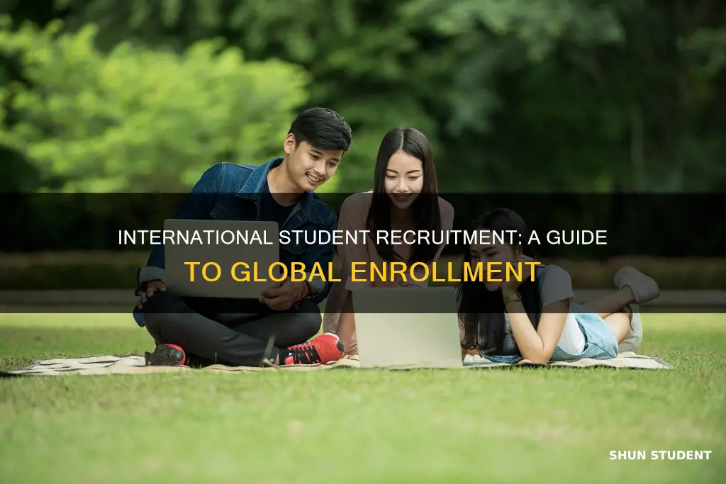 what does an international student recruitment do