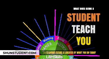 Beyond Books: Life Lessons and Skills Gained as a Student