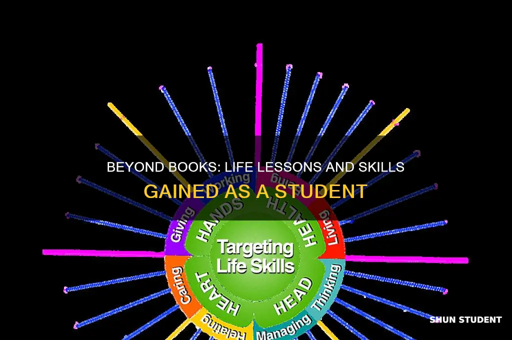 what does being a student teach you