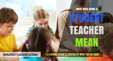 Exploring the Role and Impact of Being a Student Teacher
