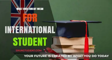 Brexit's Impact on International Students: What You Need to Know