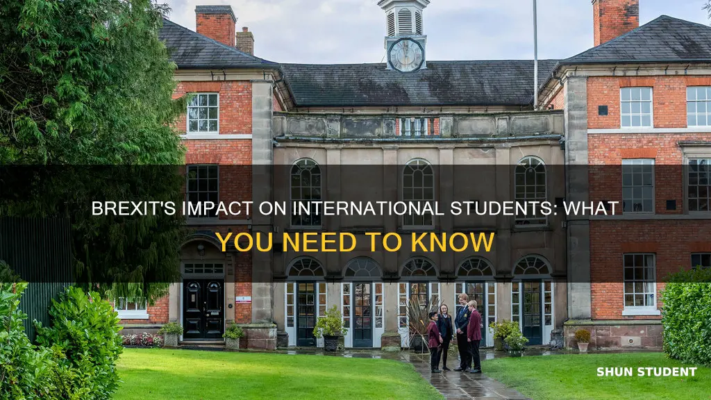 what does brexit mean for international student
