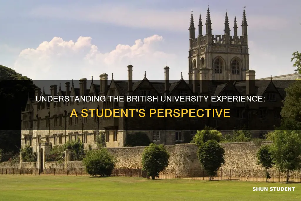 what does british students mean by university