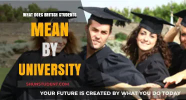 University: The British Student Experience Explored