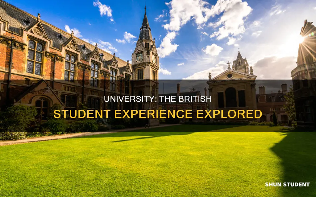 what does british students mean by university