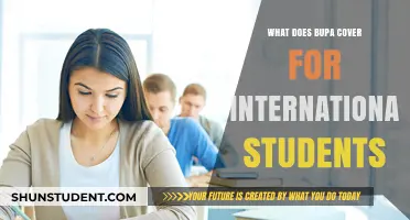 International Students: Bupa Coverage Explained