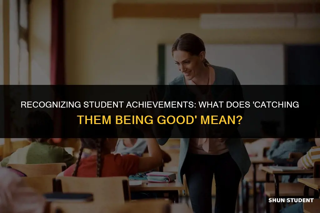 what does catch student being good mean