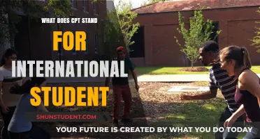 Understanding CPT: International Students' Guide to US Education