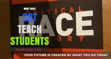 Understanding Critical Race Theory: Key Lessons for Students Explained