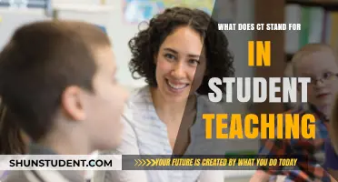 Decoding CT: Understanding Its Meaning in Student Teaching Contexts