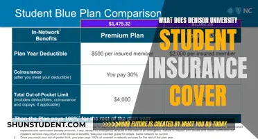 Denison University Student Insurance: What's Covered and How to Maximize Benefits