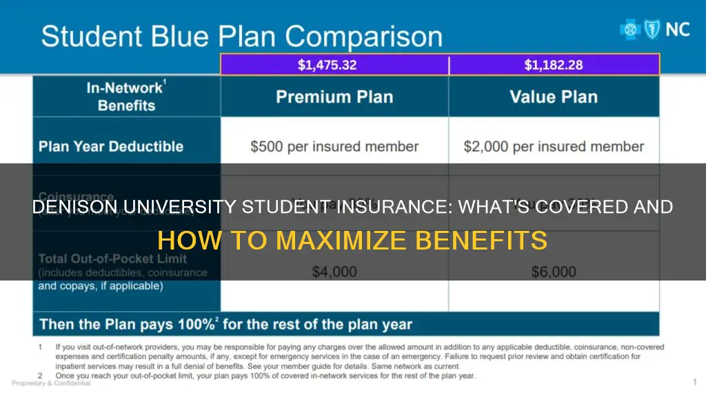 what does denison university student insurance cover