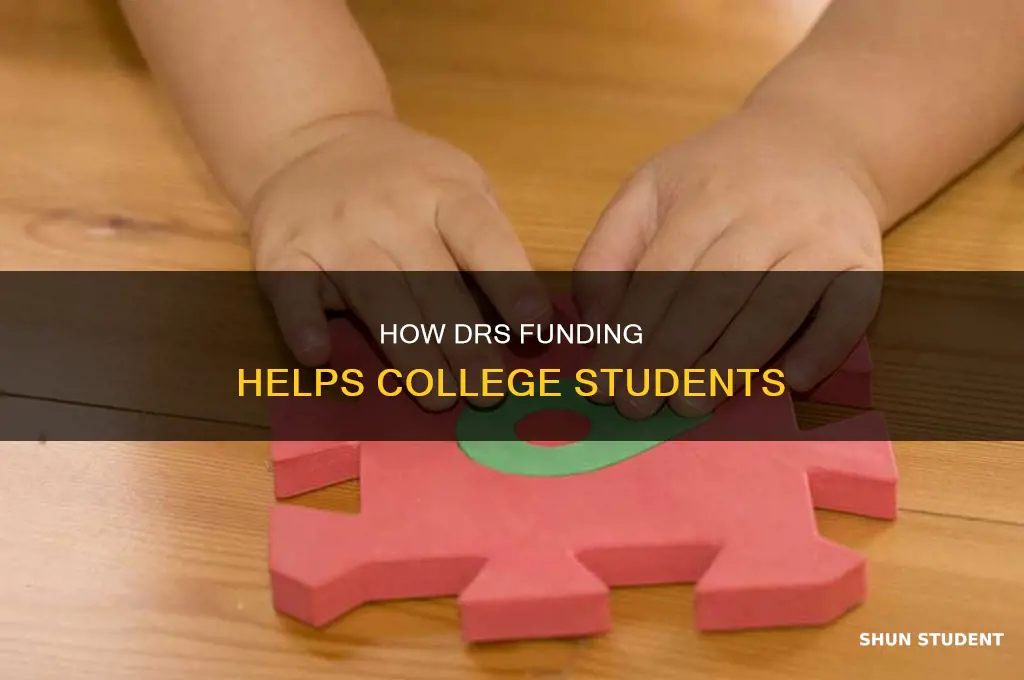 what does drs pay for with college students