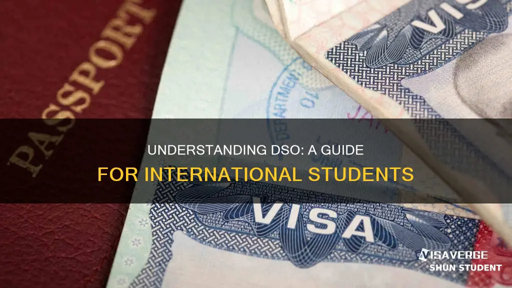 what does dso mean international students