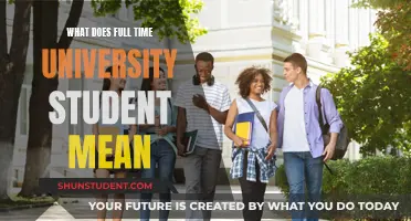 Understanding the Full-Time University Student Experience: Demystifying the Commitment