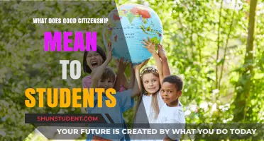 Exploring Good Citizenship: A Student's Perspective