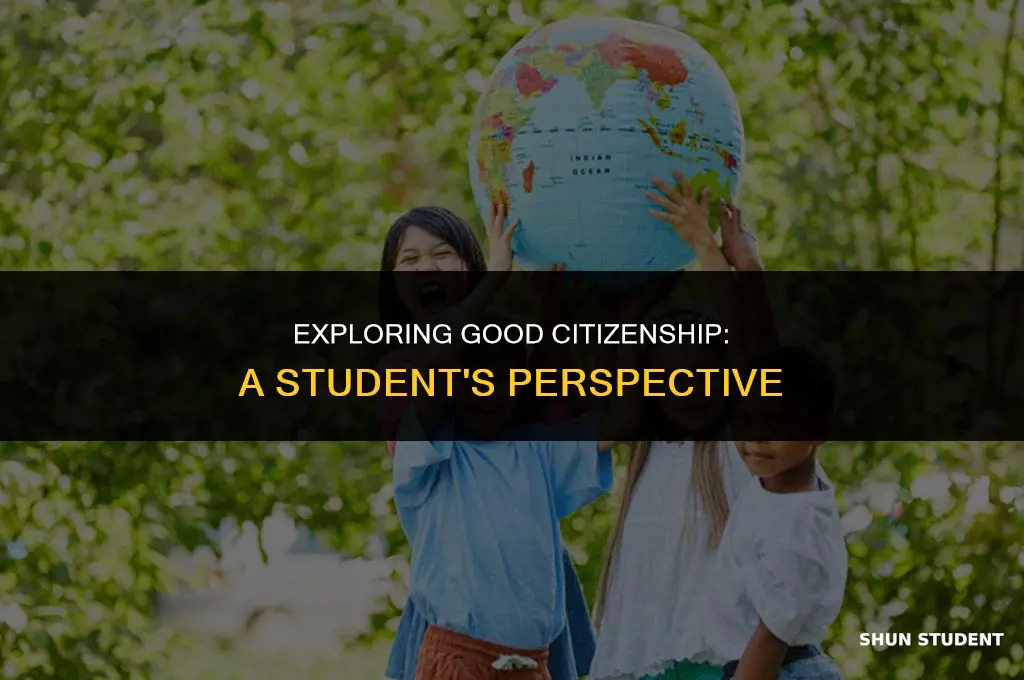 what does good citizenship mean to students