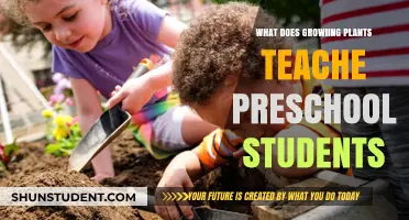 Nurturing Young Minds: Preschoolers Learn Life Lessons Through Growing Plants
