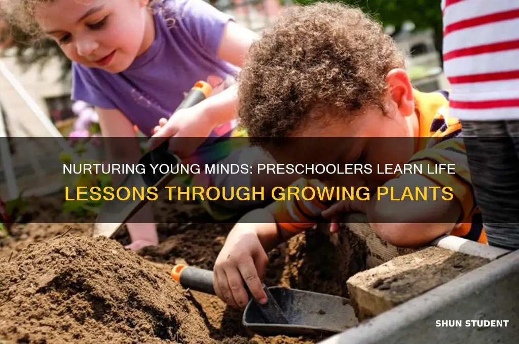 what does growiing plants teache preschool students