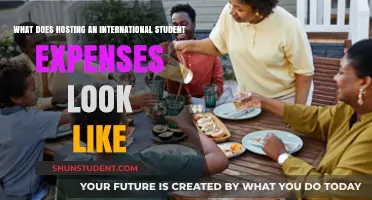 Hosting an International Student: Costs and Benefits