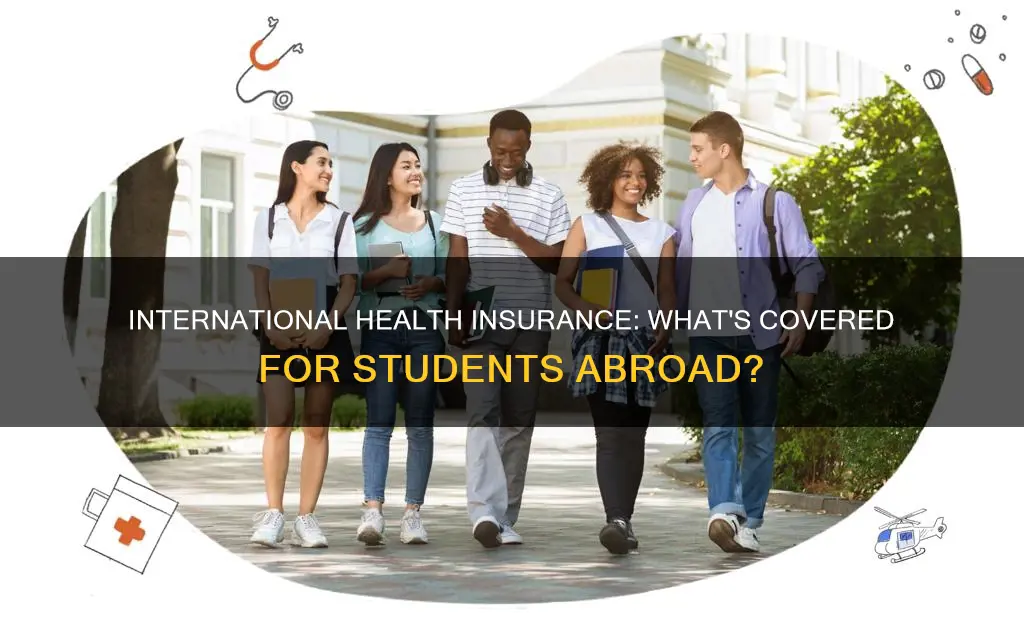 what does ihs cover for international students