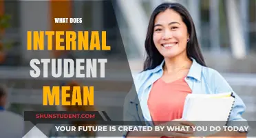 Understanding the Role of Internal Students