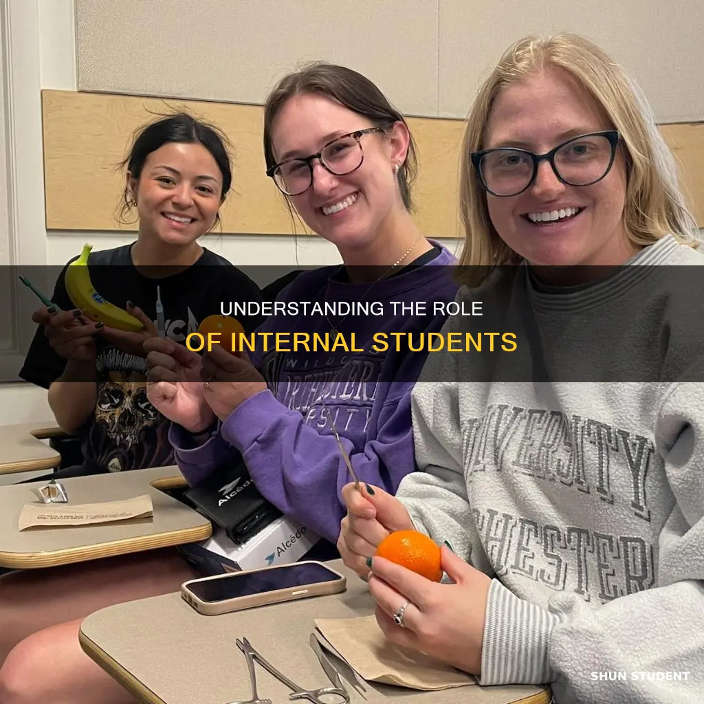 what does internal student mean
