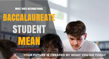 IB Students: Global Education, Rigorous Curriculum