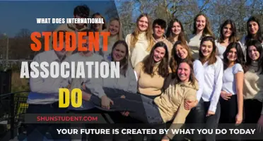 International Student Association: Support, Community, and Cultural Exchange