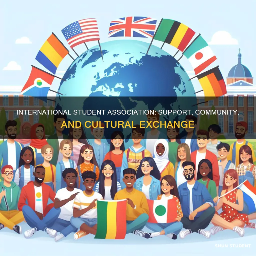 what does international student association do