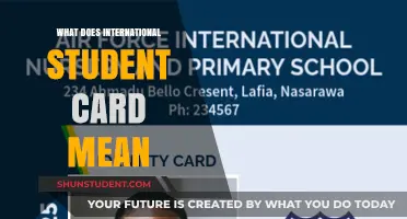 International Student Cards: Benefits and Eligibility