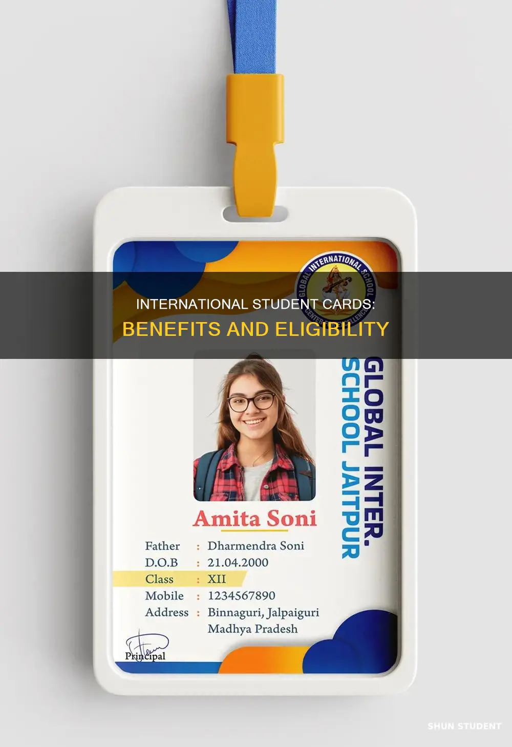 what does international student card mean