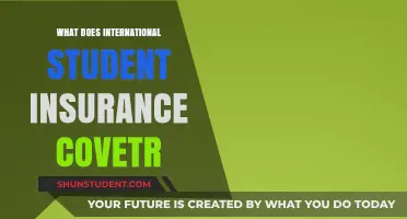 International Student Insurance: What's Covered and What's Not