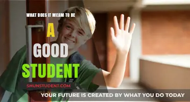 Exploring the Qualities of an Exemplary Student: A Comprehensive Guide