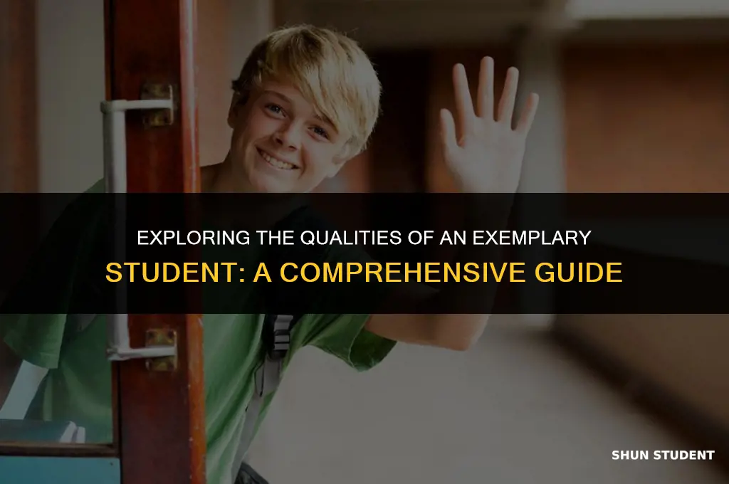 what does it meam to be a good student
