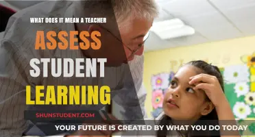 Understanding Teacher Assessments: Evaluating Student Learning Effectively
