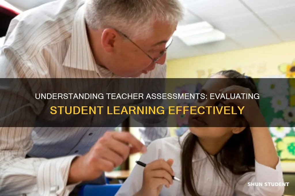 what does it mean a teacher assess student learning