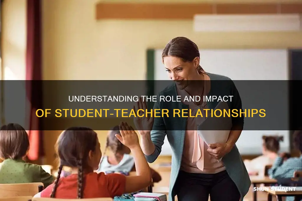 what does it mean of student teacher