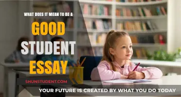 Exploring the Qualities of an Exemplary Student: A Comprehensive Essay