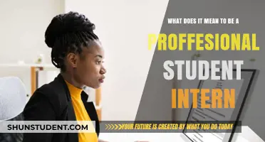 Interning: A Student's First Step to Professionalism